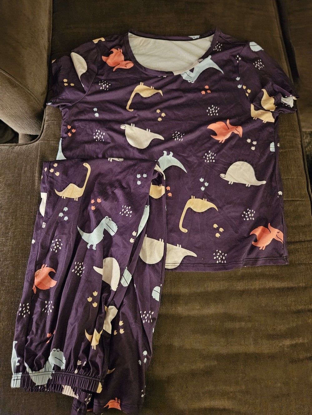 This Colorful Dinosaur Print Pajama Lounge 2-piece Set In Size Large L